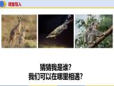 8.4+澳大利亞（第1課時(shí)）課件-2024-2025學(xué)年商務(wù)星球版地理七年級(jí)下冊(cè)