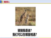 8.4+澳大利亞（第1課時(shí)）課件-2024-2025學(xué)年商務(wù)星球版地理七年級(jí)下冊(cè)