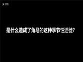 9.3.1 撒哈拉以南的非洲（課件）2025學(xué)年七年級地理下冊人教版2024