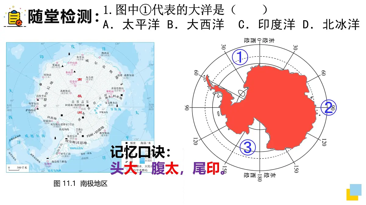 人教版七年级地理下册第十一章《极地地区》课件第5页