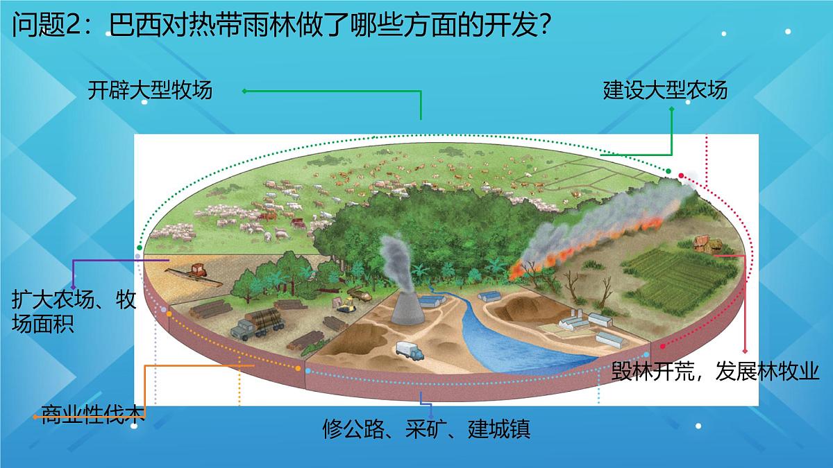 人教版七年级地理下册10.2《巴西》课件第8页