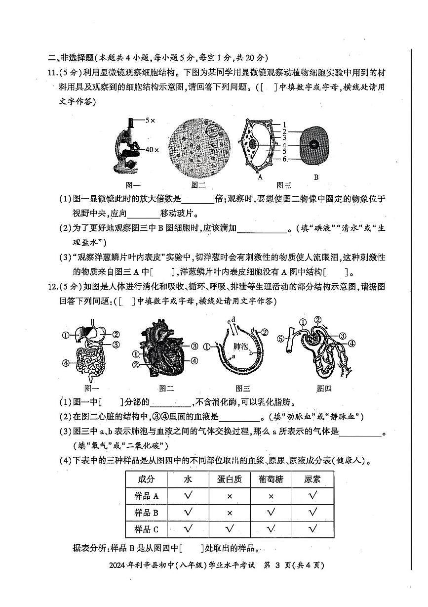 2024年安徽省亳州市利辛县中考二模地理生物试卷（中考模拟）第3页