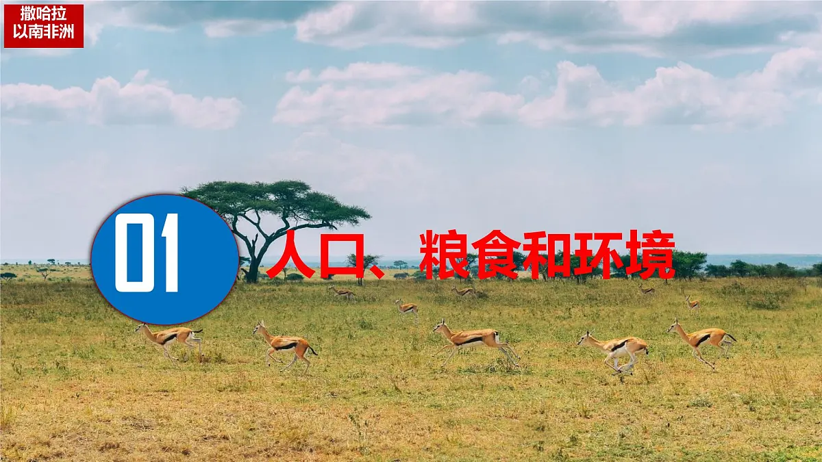 初中 地理 人教版（2024）七年级下册9.3 撒哈拉以南非洲第二课时 课件第3页