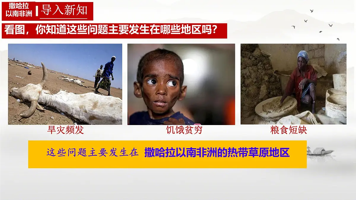 初中 地理 人教版（2024）七年级下册9.3 撒哈拉以南非洲第二课时 课件第4页
