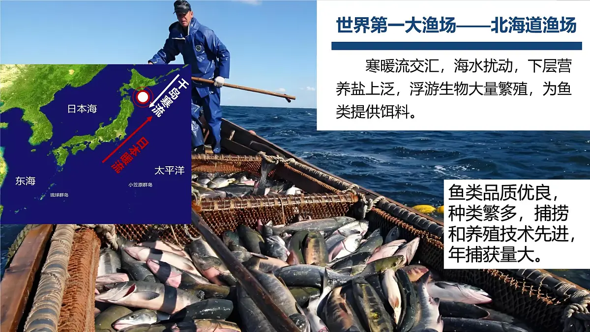 2024-2025学年晋教版地理七年级下册 7.2 走近日本：位置与自然资源 课件第8页