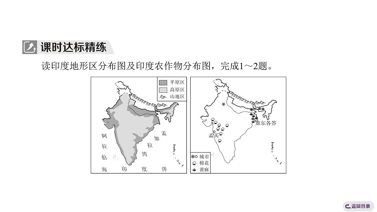 2024-2025学年晋教版地理七年级下册 7.4了解印度第2课时 生产活动 居民与生活复习课件第5页