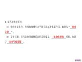 2024-2025學年晉教版地理七年級下冊 7.5探索巴西第1課時 位置與自然環(huán)境復習課件