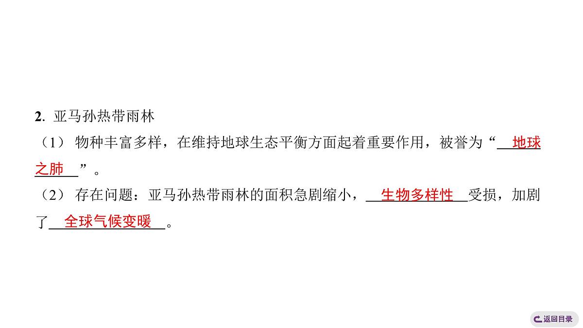 2024-2025学年晋教版地理七年级下册 7.5探索巴西第1课时 位置与自然环境复习课件第5页