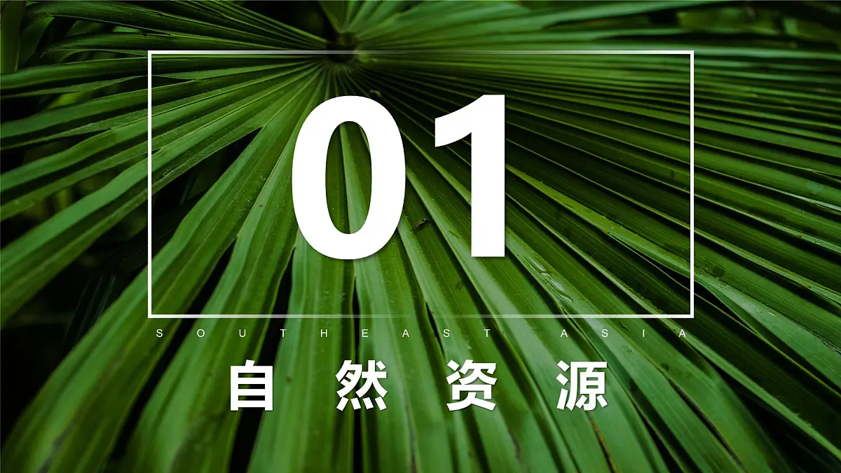 2024-2025学年晋教版地理七年级下册 6.1体验热带风情——东南亚第二课时 课件第2页