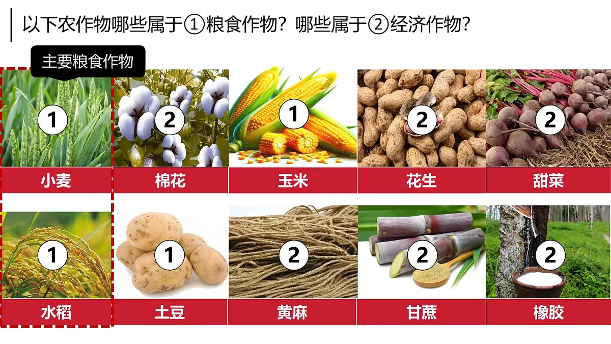 2024-2025学年晋教版地理七年级下册 6.1体验热带风情——东南亚第二课时 课件第5页