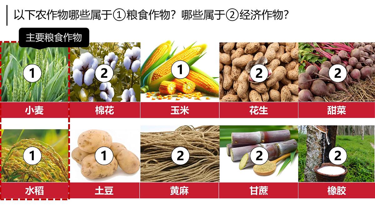 2024-2025学年晋教版地理七年级下册 6.1体验热带风情——东南亚第二课时 课件第5页