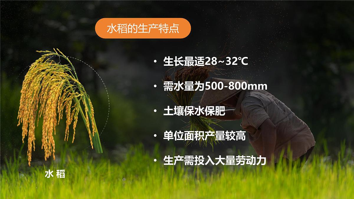 2024-2025学年晋教版地理七年级下册 6.1体验热带风情——东南亚第二课时 课件第7页
