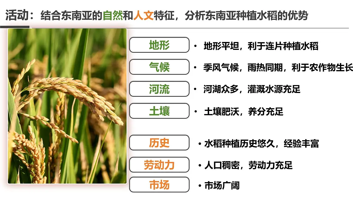 2024-2025学年晋教版地理七年级下册 6.1体验热带风情——东南亚第二课时 课件第8页
