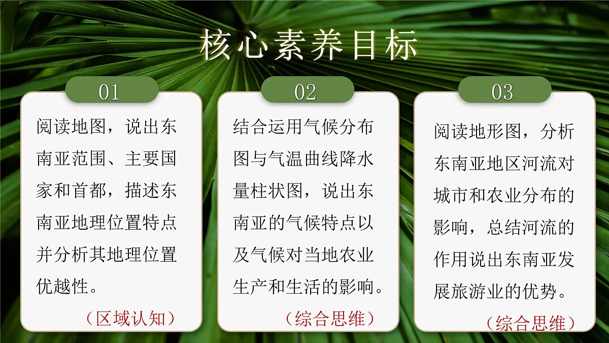 2024-2025学年晋教版地理七年级下册 6.1体验热带风情——东南亚第一课时 课件第3页