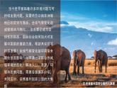 2024-2025學(xué)年晉教版地理七年級(jí)下冊(cè) 8.1 助力撒哈拉以南非洲的可持續(xù)發(fā)展 第1課時(shí)課件