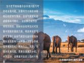 2024-2025學(xué)年晉教版地理七年級(jí)下冊(cè) 8.1 助力撒哈拉以南非洲的可持續(xù)發(fā)展 第2課時(shí) 課件