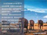 2024-2025學(xué)年晉教版地理七年級(jí)下冊(cè) 8.2 推動(dòng)兩極地區(qū)的環(huán)境保護(hù) 第1課時(shí) 課件