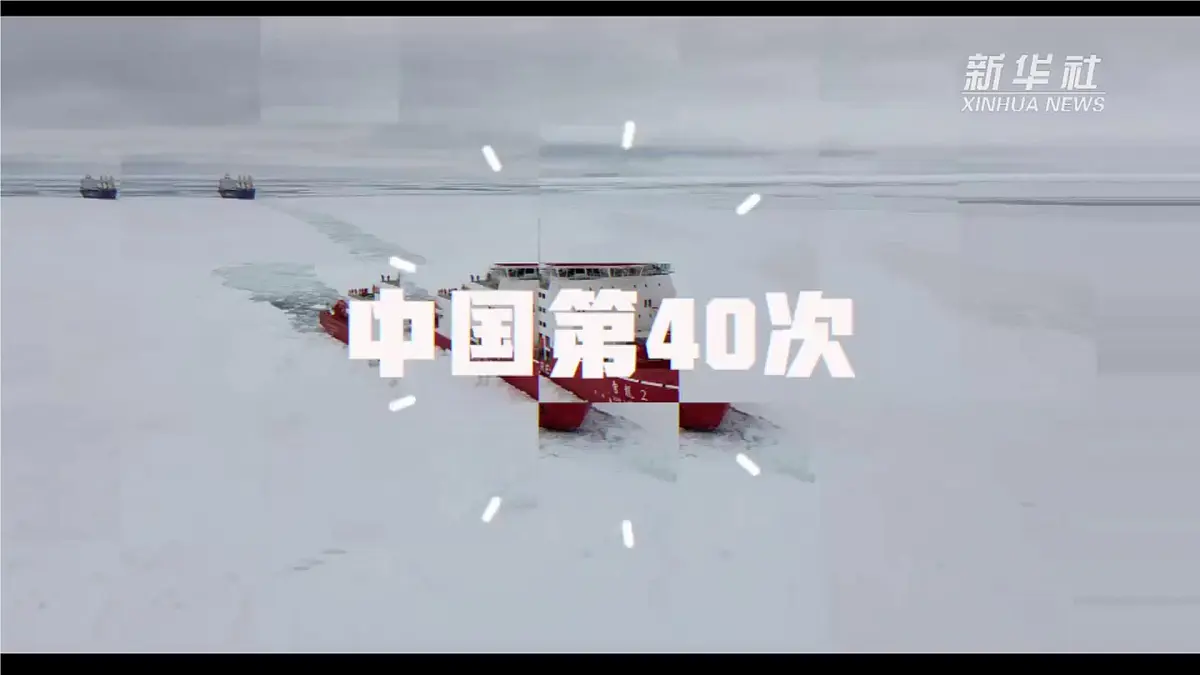 2024-2025学年晋教版地理七年级下册 8.2推动两极地区的环境保护 第二课时课件第4页