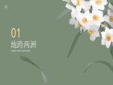 初中 地理 湘教版（2024）七年級下冊9.2 埃及 課件