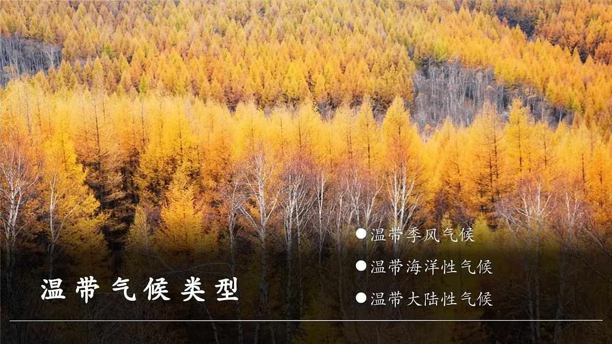 【大单元教学】5.4世界主要气候类型（第2课时） 精品课件第6页