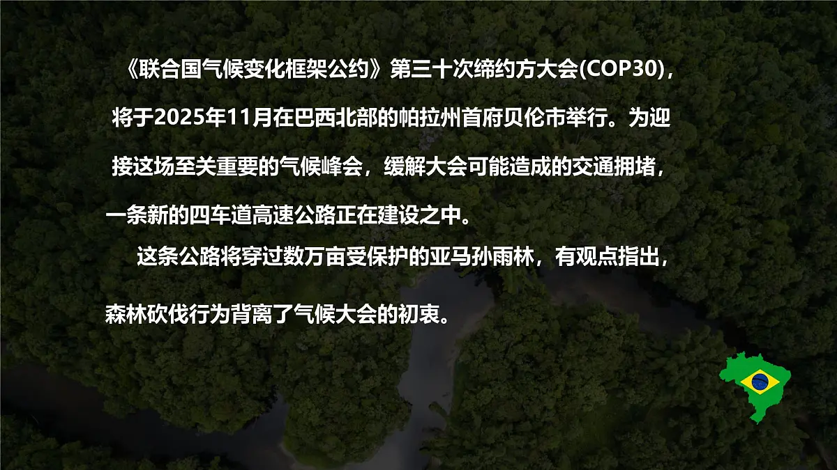 初中地理人教版（2024）七年级下册【跨学科主题学习】探寻热带雨林的固碳功能 课件第3页