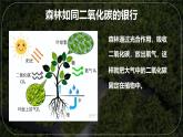 初中地理人教版（2024）七年級下冊【跨學(xué)科主題學(xué)習(xí)】探尋熱帶雨林的固碳功能 課件
