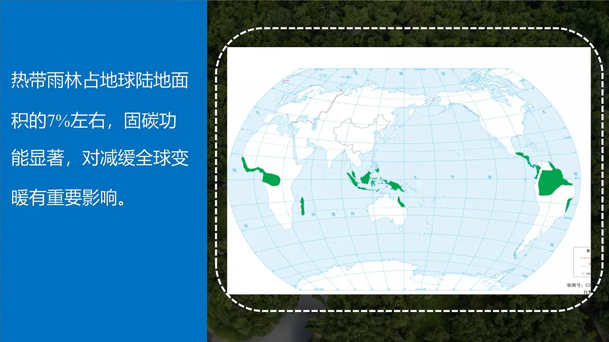 初中地理人教版（2024）七年级下册【跨学科主题学习】探寻热带雨林的固碳功能 课件第5页