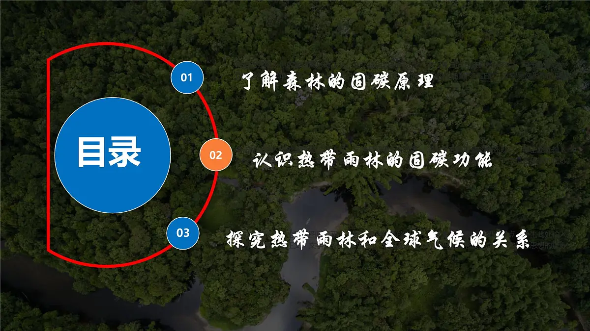 初中地理人教版（2024）七年级下册【跨学科主题学习】探寻热带雨林的固碳功能 课件第6页