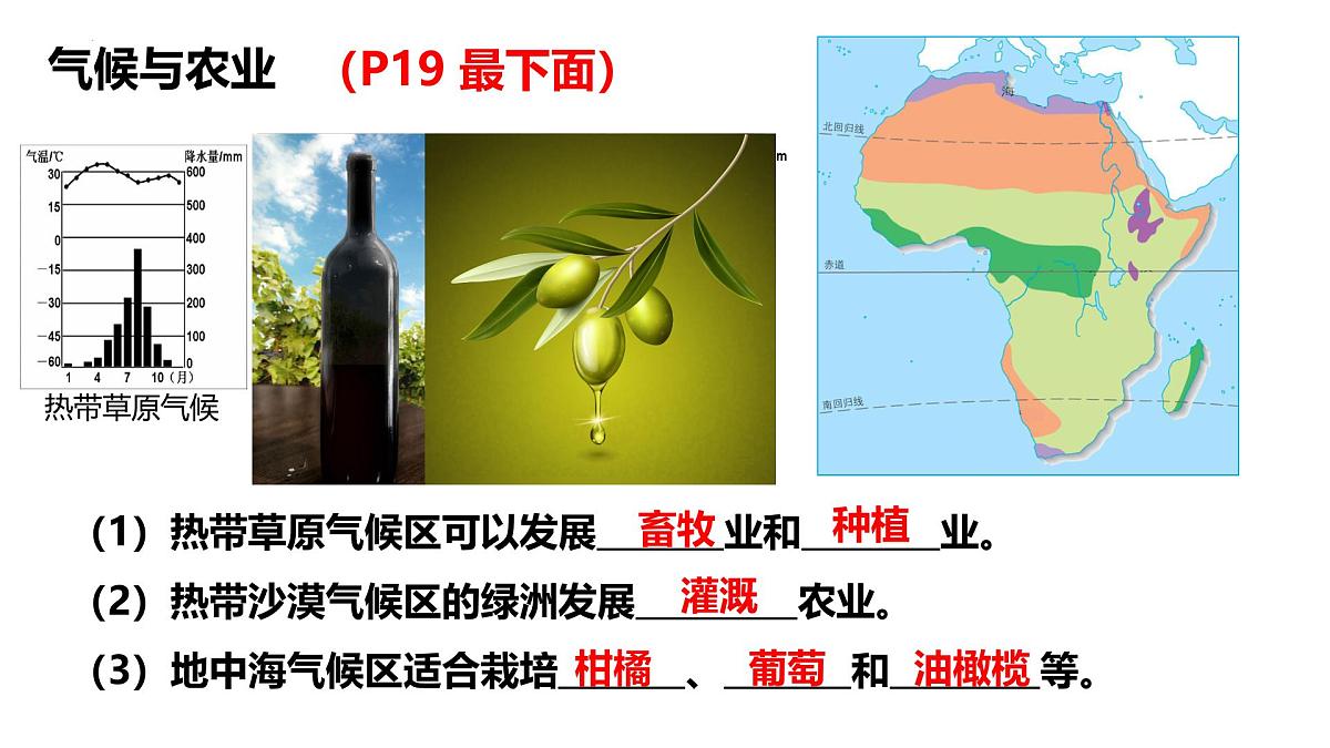 初中 地理 湘教版（2024）七年级下册7.2 非洲（第二课时） 课件第5页