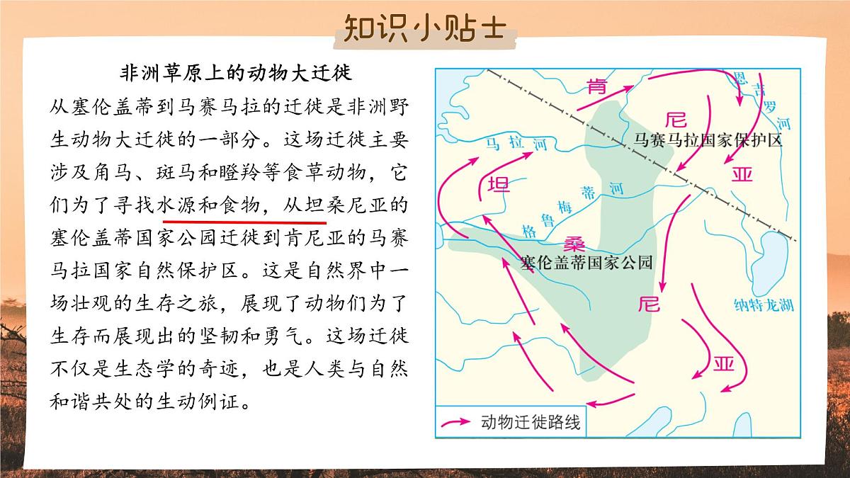 初中 地理 湘教版（2024）七年级下册7.2 非洲（第二课时） 课件第6页