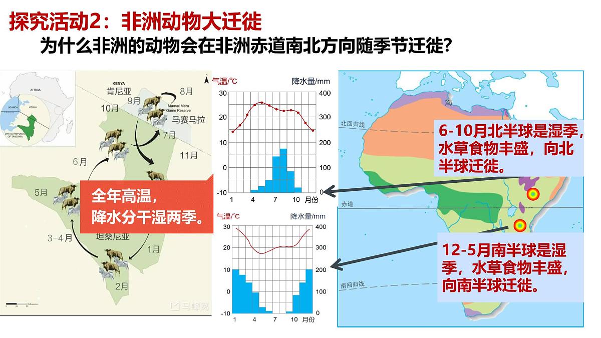 初中 地理 湘教版（2024）七年级下册7.2 非洲（第二课时） 课件第7页