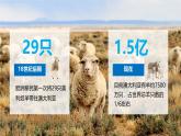 初中 地理 粵教粵人版（2024）七年級(jí)下冊(cè)9.1 澳大利亞第二課時(shí) 課件