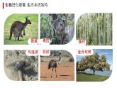 初中 地理 粵教粵人版（2024）七年級(jí)下冊(cè)9.1 澳大利亞 課件
