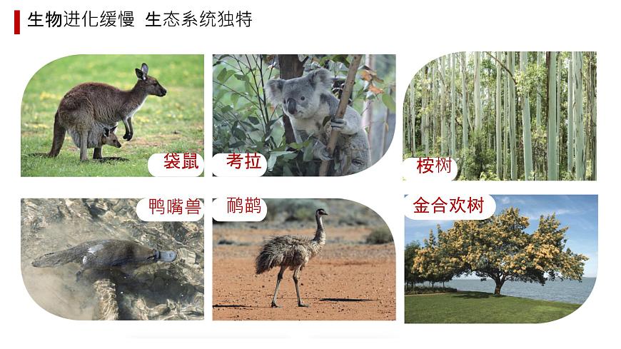 初中 地理 粤教粤人版（2024）七年级下册9.1 澳大利亚 课件第5页