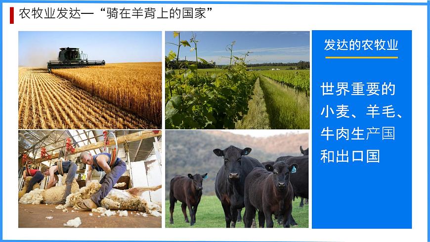 初中 地理 粤教粤人版（2024）七年级下册9.1 澳大利亚 课件第8页