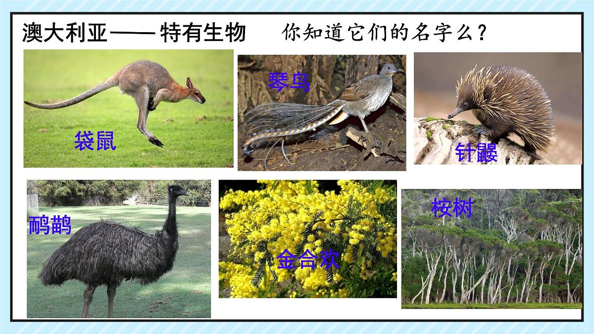 初中 地理 粤教粤人版（2024）七年级下册9.1 澳大利亚 课件第3页