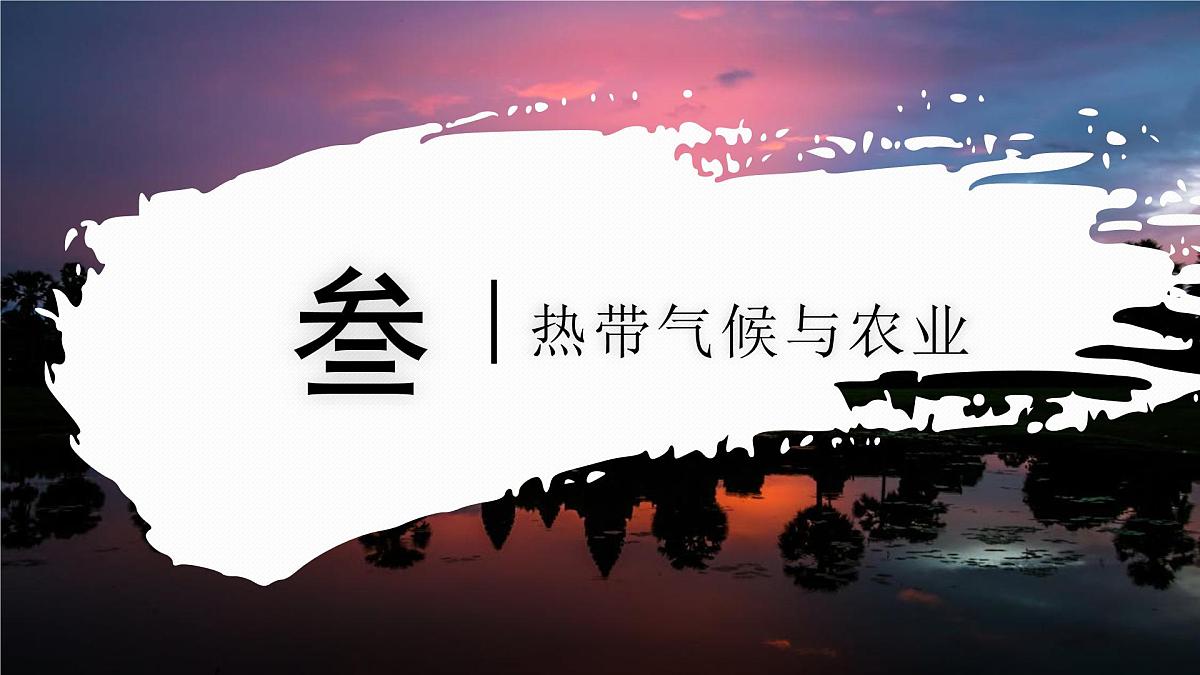 7.1.2 东南亚（教学课件）——初中地理商务星球版（2024）七年级下册第5页