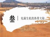 7.4.2 撒哈拉以南非洲（教學(xué)課件）——初中地理商務(wù)星球版（2024）七年級(jí)下冊(cè)