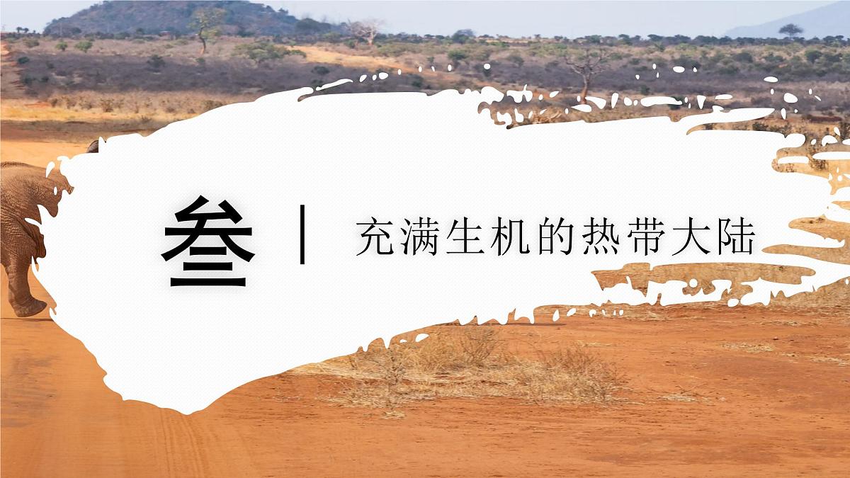 7.4.2 撒哈拉以南非洲（教学课件）——初中地理商务星球版（2024）七年级下册第5页