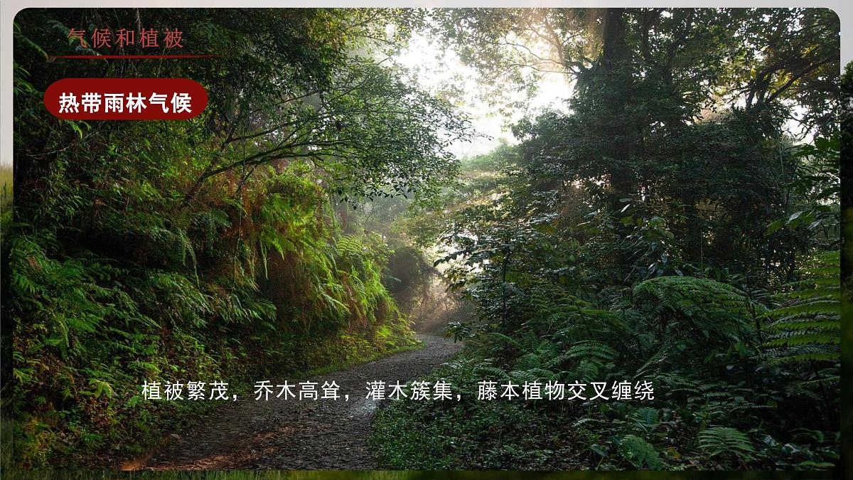 7.4.2 撒哈拉以南非洲（教学课件）——初中地理商务星球版（2024）七年级下册第8页