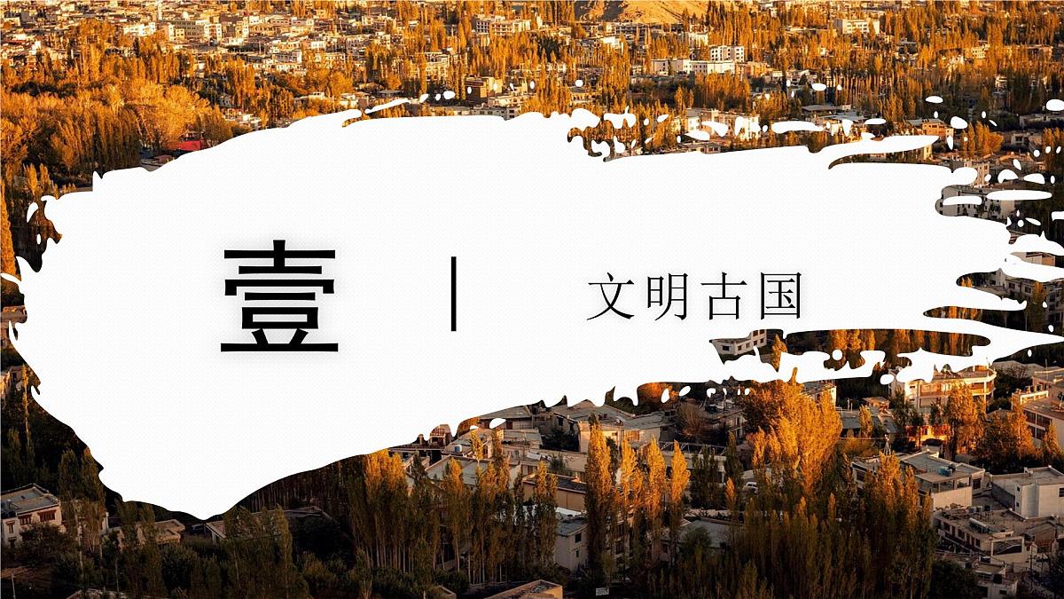 8.2.1 印度（教学课件）——初中地理商务星球版（2024）七年级下册第5页