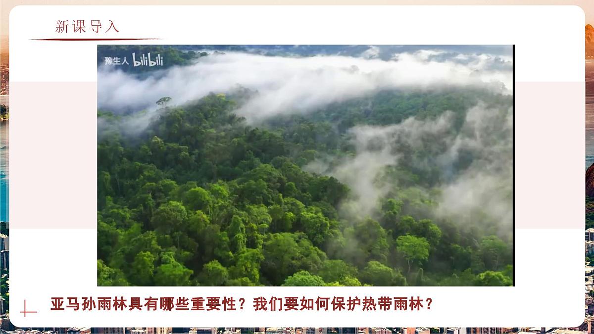 8.6.3 巴西（教学课件）——初中地理商务星球版（2024）七年级下册第2页