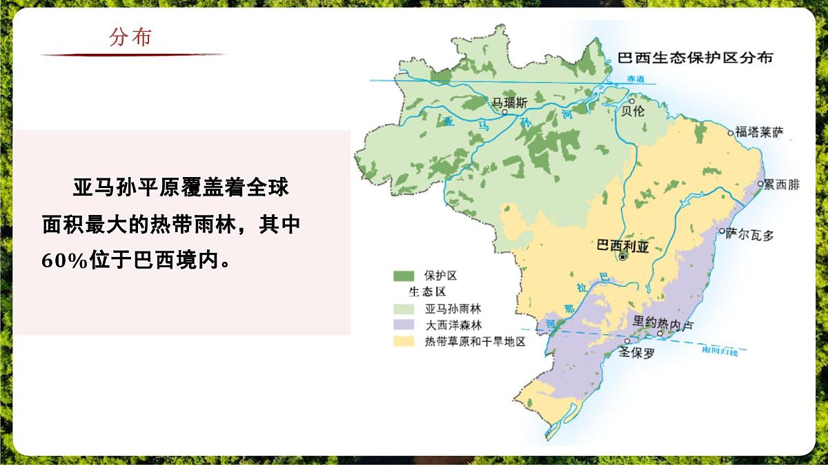 8.6.3 巴西（教学课件）——初中地理商务星球版（2024）七年级下册第6页