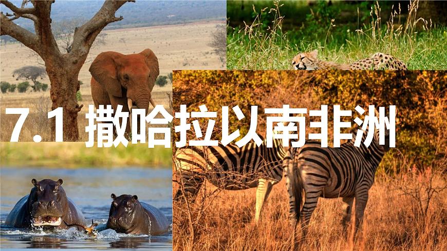 初中 地理 粤教粤人版（2024）七年级下册7.1 撒哈拉以南非洲 课件第1页