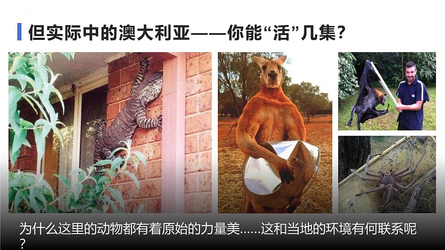 9.6澳大利亚+课件-2024-2025学年七年级地理下学期湘教版(2024)第3页