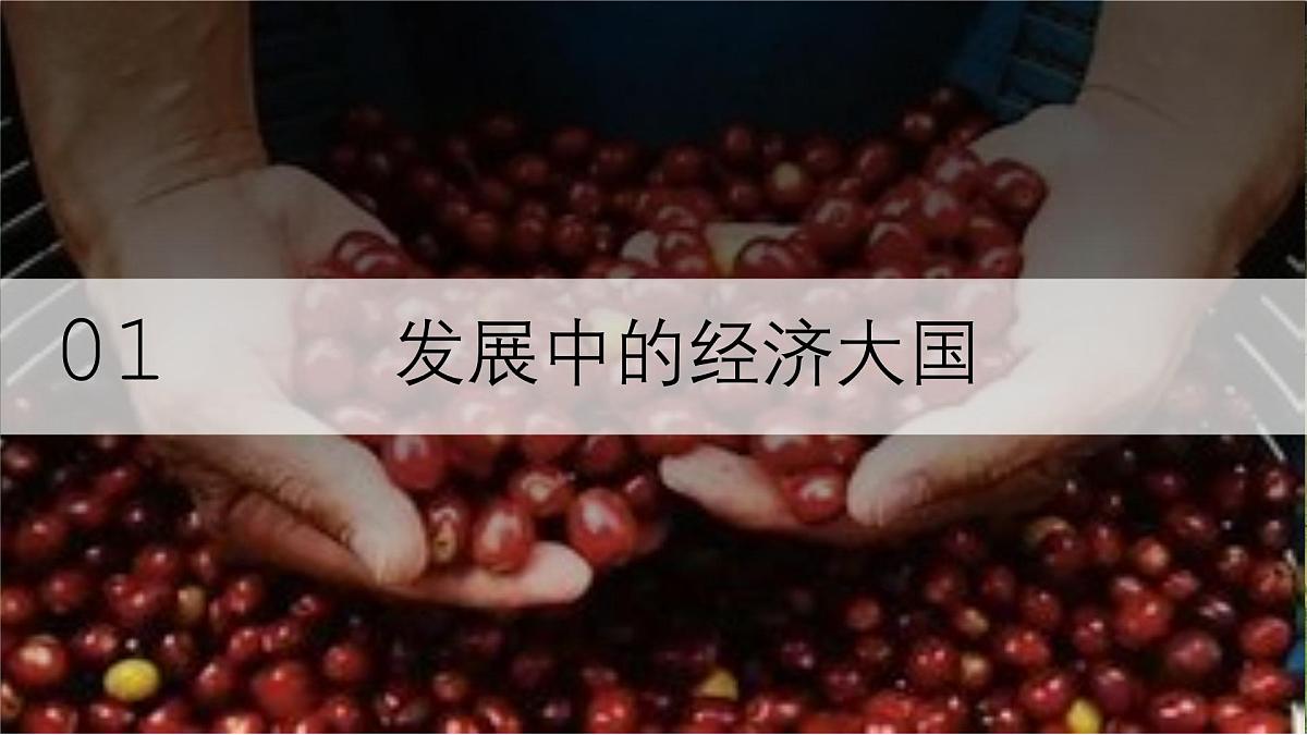 10.2+巴西+第二课时+课件-2024-2025学年七年级地理下学期人教版（2024）第4页