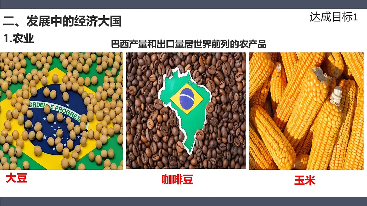 10.2巴西第二课时+课件-2024-2025学年七年级地理下册人教版（2024）第3页