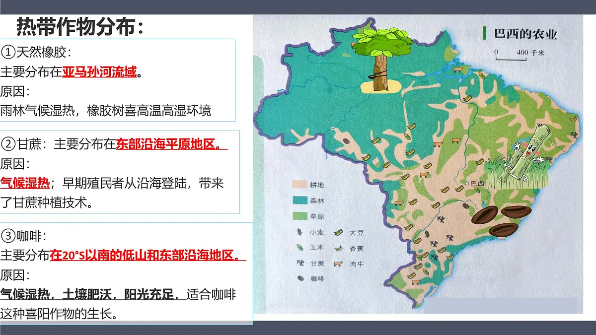 10.2巴西第二课时+课件-2024-2025学年七年级地理下册人教版（2024）第8页
