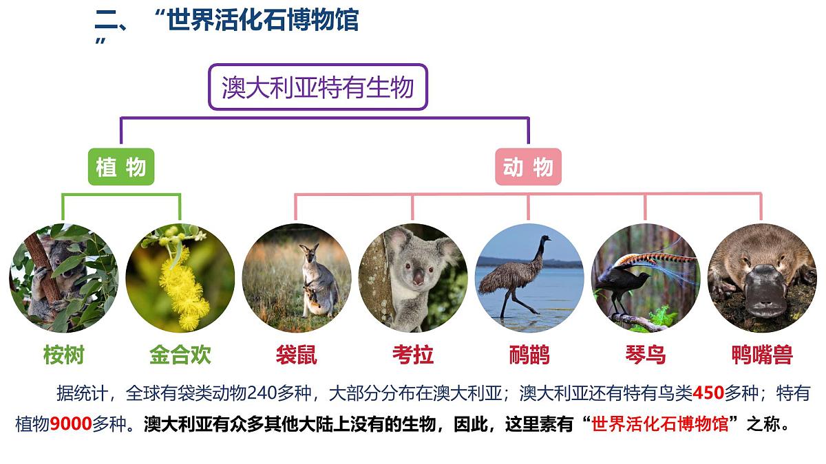 第九单元+区域可持续发展 2025学年七年级地理下学期期末考点大串讲粤人版课件第5页