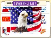 第九章走進(jìn)國(guó)家9.5美國(guó)（第2課時(shí)）課件 2025學(xué)年七年級(jí)下冊(cè)地理湘教版